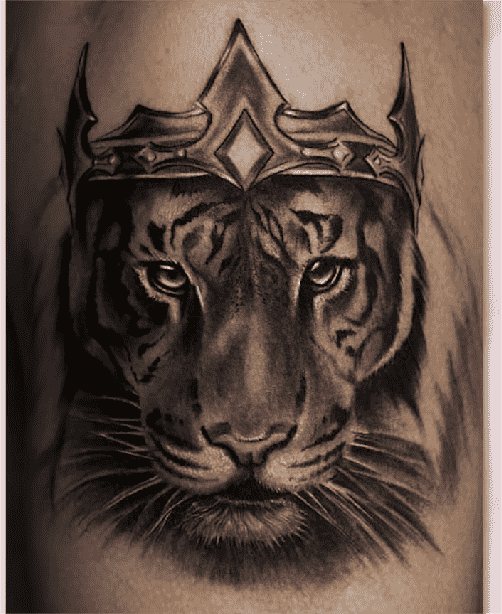 Ranveer Allahbadia tattoo of  the Tiger with the crown